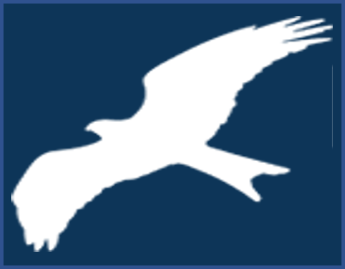 _images/ridgeway-kite-logo.png